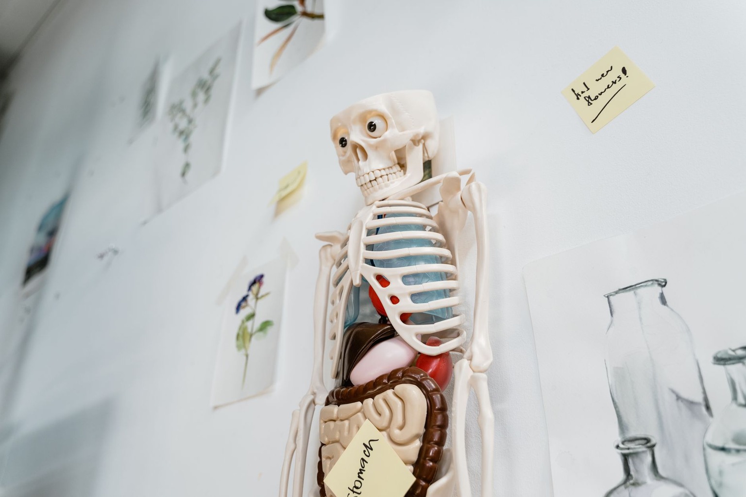 Les blessures courantes chez les gardiens de but et leur prévention en 2026 — Prévention spécifique aux blessures du hau Les blessures courantes chez les gardiens de but et leur prévention en 2026 — Prévention spécifique aux blessures du hau